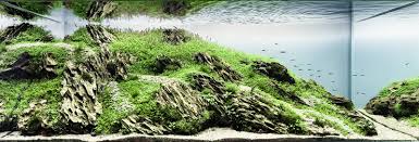سبک جنگلی (Jungle Style)
